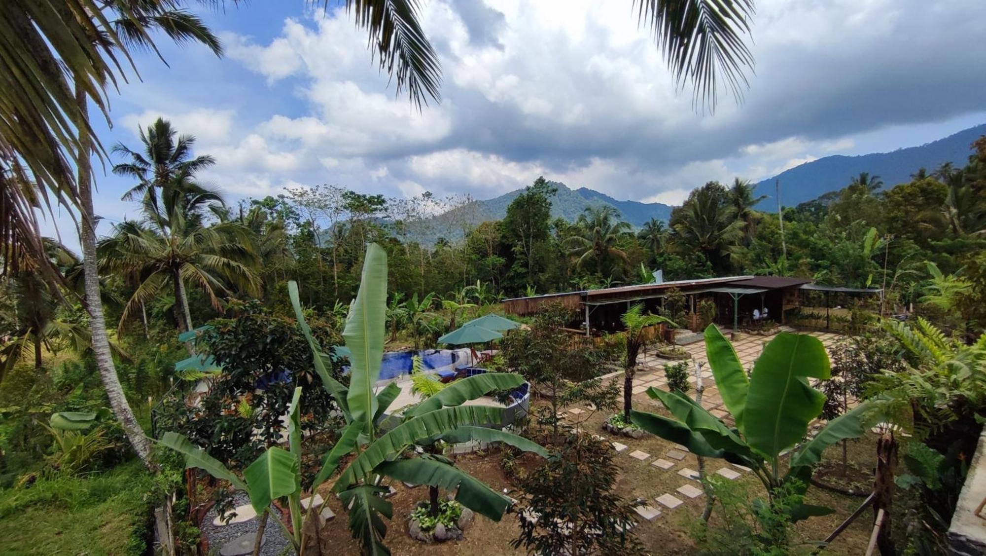 Sekumpul Bali Hidden Space Singaraja Extérieur photo