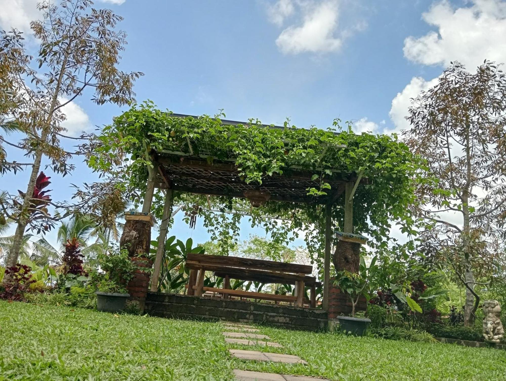 Sekumpul Bali Hidden Space Singaraja Extérieur photo